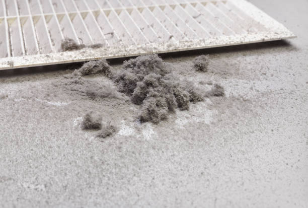 Best Dryer Vent Cleaning Services  in Tigerville, SC